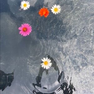 Meet your Posher, Marie